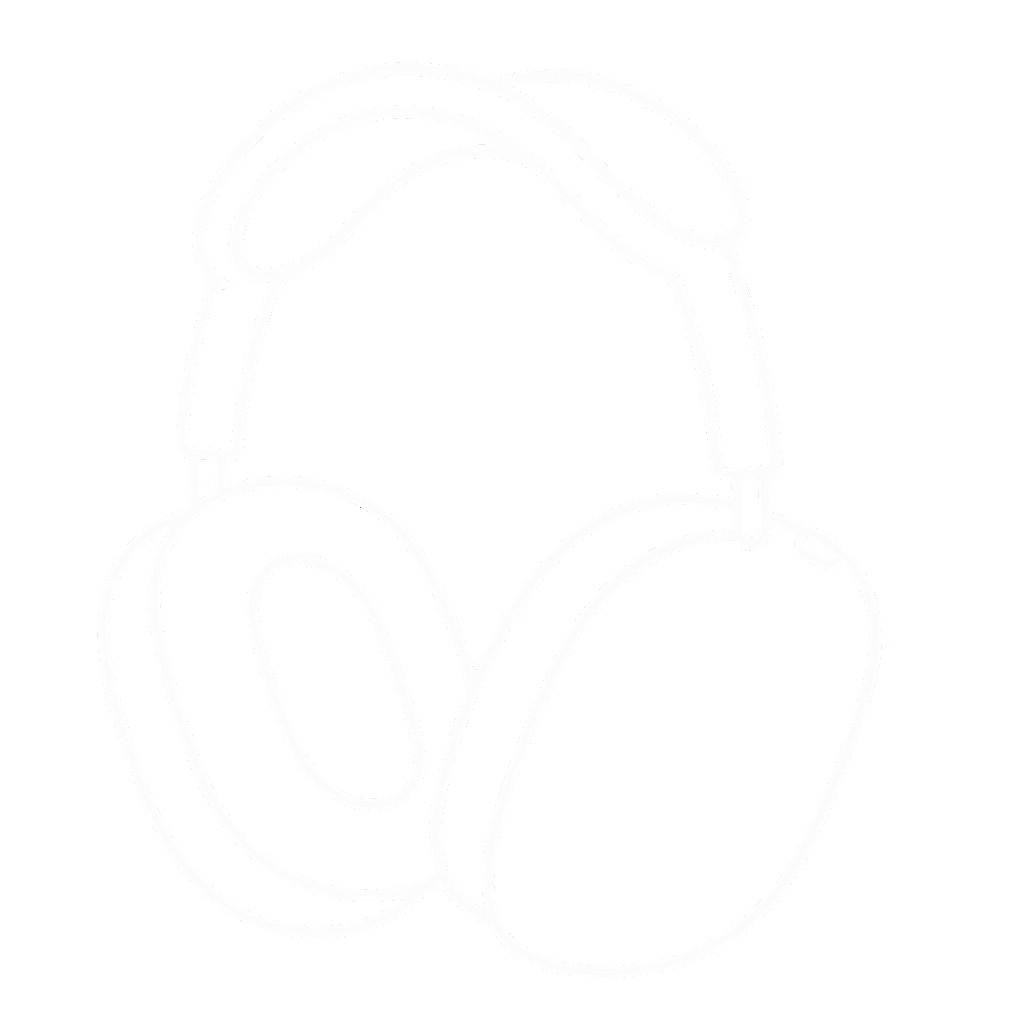 Airpod Maxes